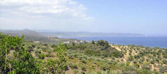3750 m² hotel en venta en Chalkidiki, Central Macedonia, Macedonia and Thrace, Greece № 7855 6