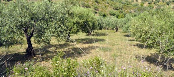 Hotel en Chalkidiki, Greece 3750 m² No. 7855 10