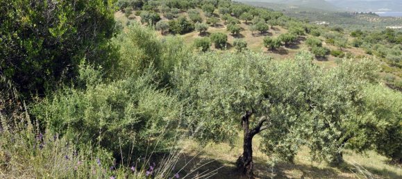 Hotel en Chalkidiki, Greece 3750 m² No. 7855 11