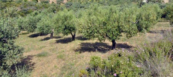 Hotel en Chalkidiki, Greece 3750 m² No. 7855 4