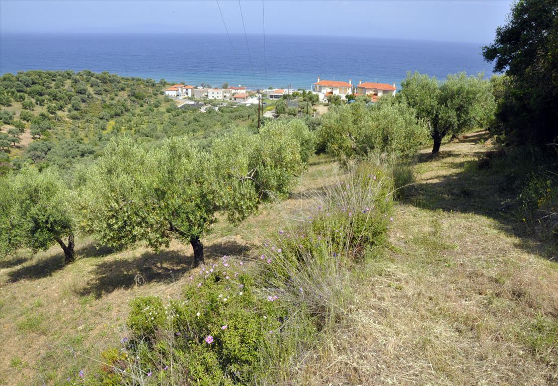 3750 m² hotel en venta en Chalkidiki, Central Macedonia, Macedonia and Thrace, Greece № 7855