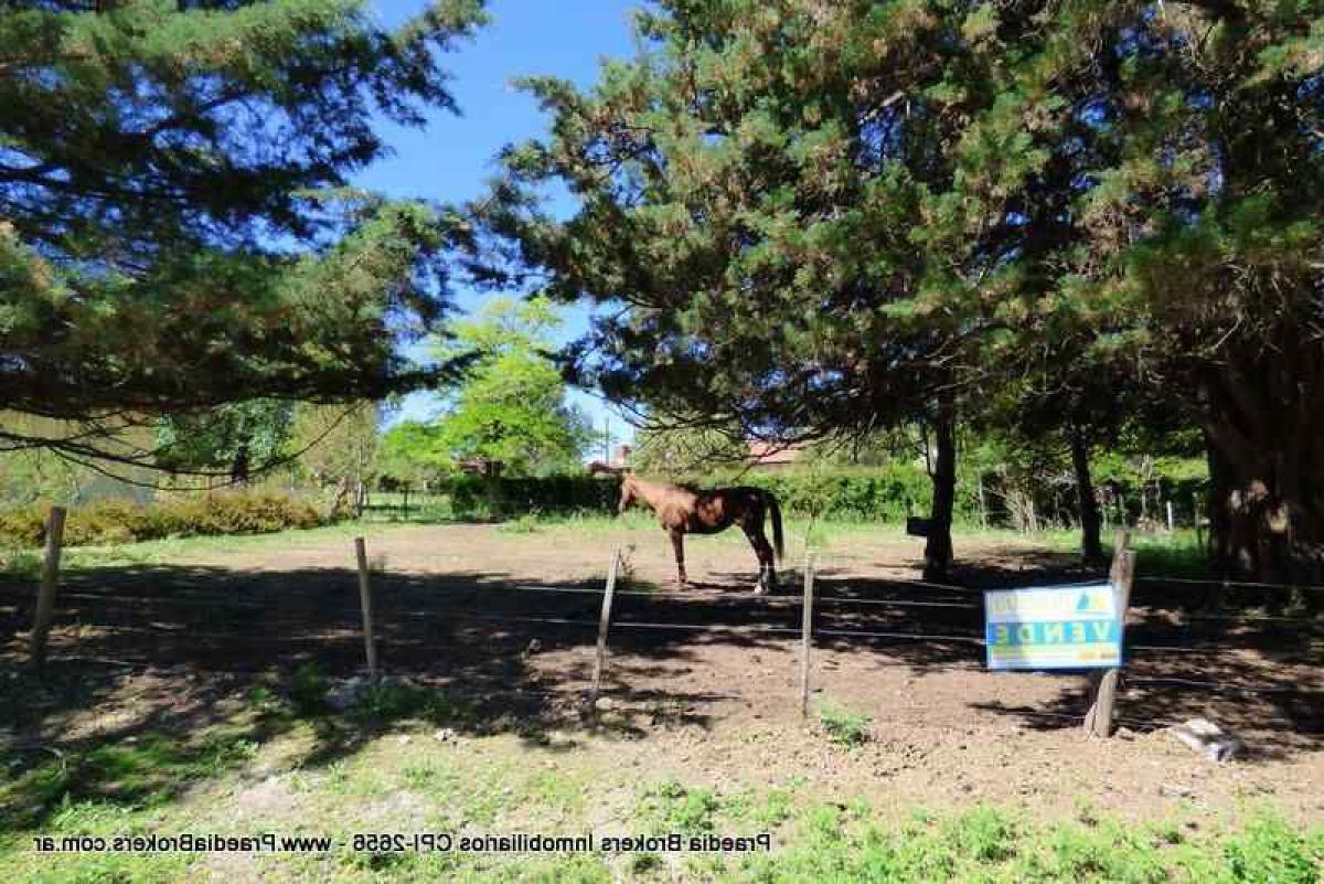 Земельный участок в Кордоба, Аргентина № 37808
