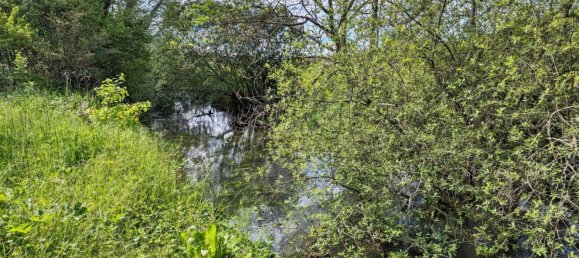 Moradia em banda T3 em Andryes, France N.º 59536 37