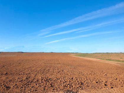 45000m² Land in Valdepenas, Spain No. 197896