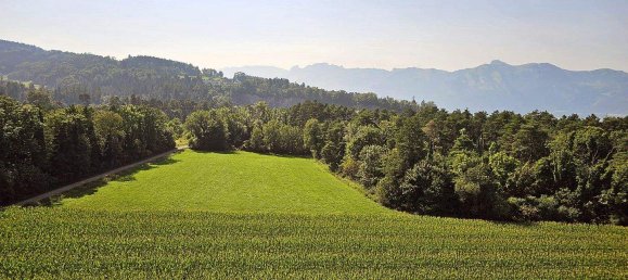 2-salle Appartement à Feldkirch, Austria No. 239001 17