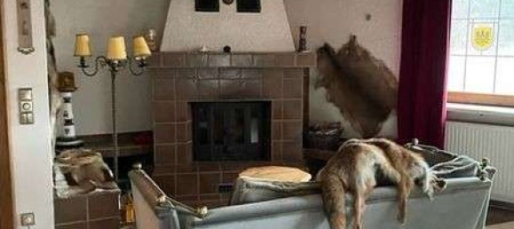 Отель, гостиница 1200м² в Regen, Германия № 167068 2