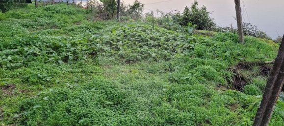 2 bedrooms House in Sao Cristovao de Nogueira, Portugal No. 161257 4