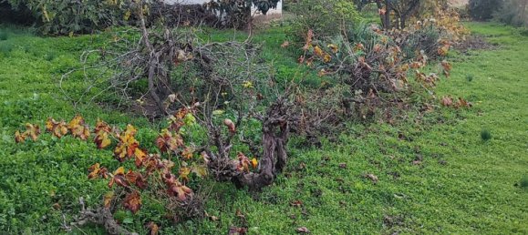 Casa de 5 dormitorios en Málaga, Spain No. 156376 19