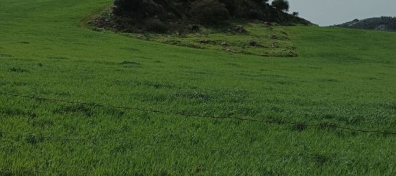 Casa de 5 dormitorios en Málaga, Spain No. 156376 21