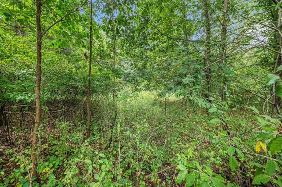  Land in Marcellus, USA No. 518505