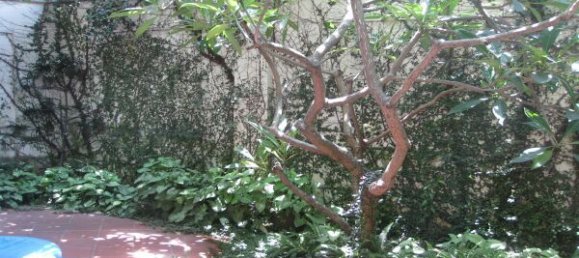 4 bedrooms Villa in Tay Ho, Vietnam No. 6350 8