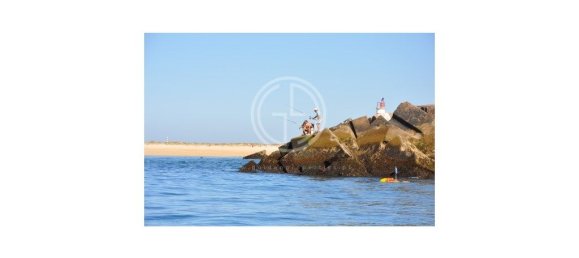 4885m² Land in Faro, Portugal No. 136367 6