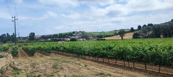 8 غرف نوم قلاع في Alenquer, Portugal رقم 46289 10