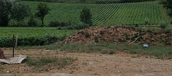 8 غرف نوم قلاع في Alenquer, Portugal رقم 46289 11