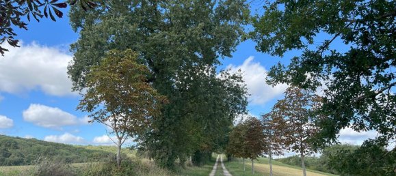 5 bedrooms House in Simorre, France No. 191068 8