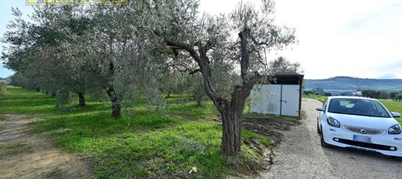 8000m² Land in Colli del Tronto, Italy No. 63728 5