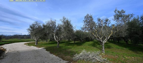8000m² Land in Colli del Tronto, Italy No. 63728 17