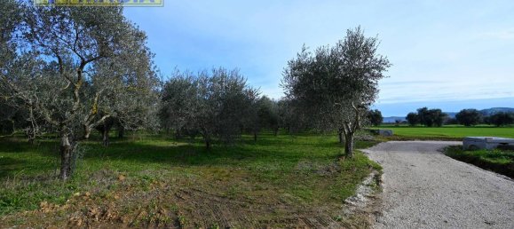 8000m² Land in Colli del Tronto, Italy No. 63728 6