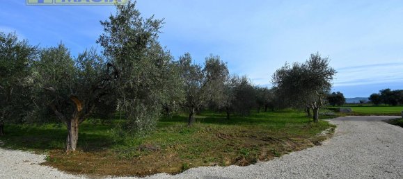 8000m² Land in Colli del Tronto, Italy No. 63728 8