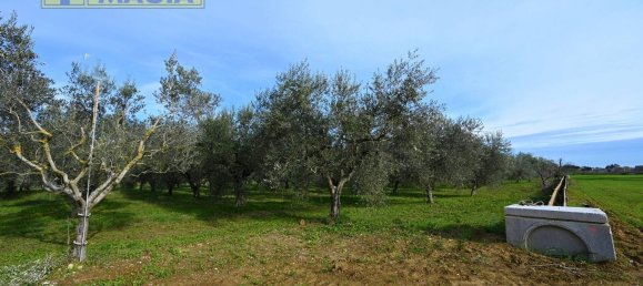 8000m² Land in Colli del Tronto, Italy No. 63728 13