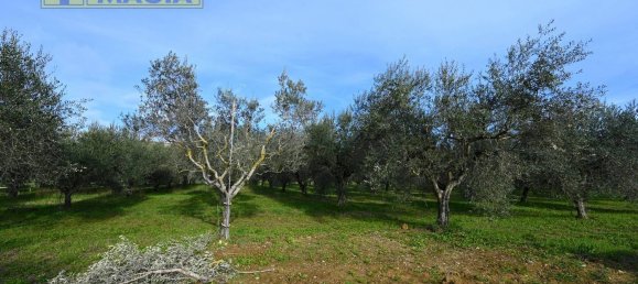 8000m² Land in Colli del Tronto, Italy No. 63728 16