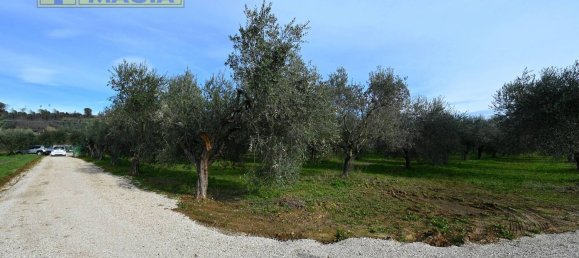 8000m² Land in Colli del Tronto, Italy No. 63728 3