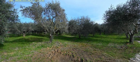 8000m² Land in Colli del Tronto, Italy No. 63728 15