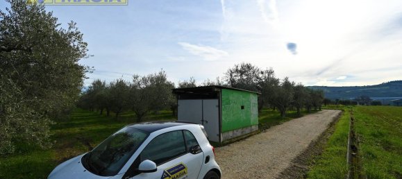 8000m² Land in Colli del Tronto, Italy No. 63728 12