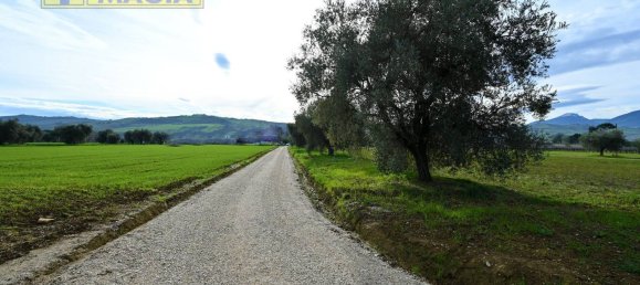8000m² Land in Colli del Tronto, Italy No. 63728 14