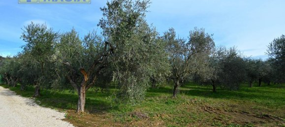 8000m² Land in Colli del Tronto, Italy No. 63728 11