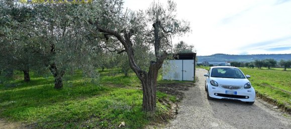 8000m² Land in Colli del Tronto, Italy No. 63728 7