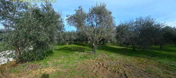 8000m² Land in Colli del Tronto, Italy No. 63728 10