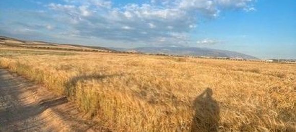 Grundstück in Granada, Spain 14000m², Nr. 162008 2