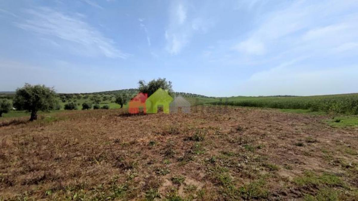 Grundstück in Beja, Portugal, Nr. 2114