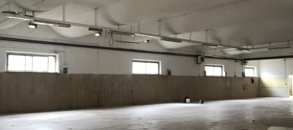 979m² Warehouse in Grosseto, Italy No. 301828 13