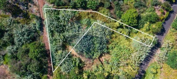 Grundstück in Santana, Portugal 1690m², Nr. 92661 12