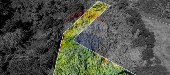 Grundstück in Santana, Portugal 1690m², Nr. 92661 9