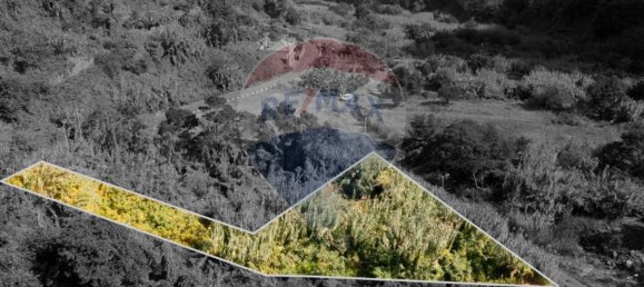 Grundstück in Santana, Portugal 1690m², Nr. 92661 16