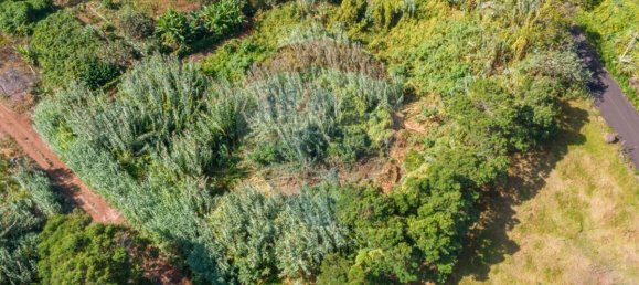 Grundstück in Santana, Portugal 1690m², Nr. 92661 4