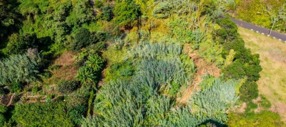 Grundstück in Santana, Portugal 1690m², Nr. 92661 7