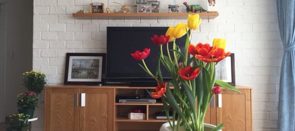 2 bedrooms Apartment in District 7, Vietnam No. 17501 13