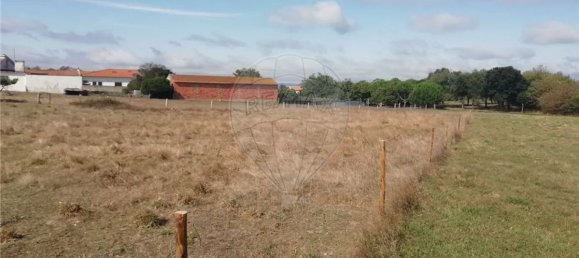 4 bedrooms House in Juncal, Portugal No. 26397 6