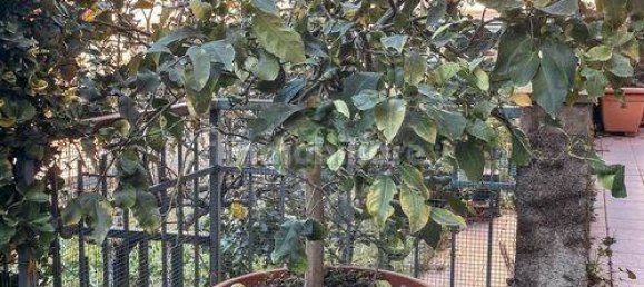 5 bedrooms Apartment in Santa Margherita Ligure, Italy No. 262368 16