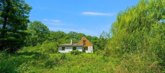 3 rooms Bungalow in Bad Deutsch-Altenburg, Austria No. 146085 2