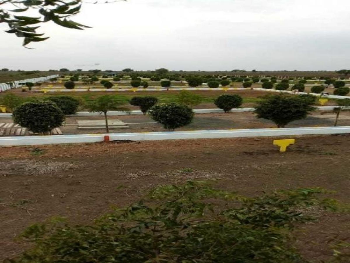  Land in Guntur, India No. 32780