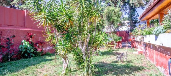 4 غرف نوم تاون هاوس في Icod de los Vinos, Spain رقم 184676 30