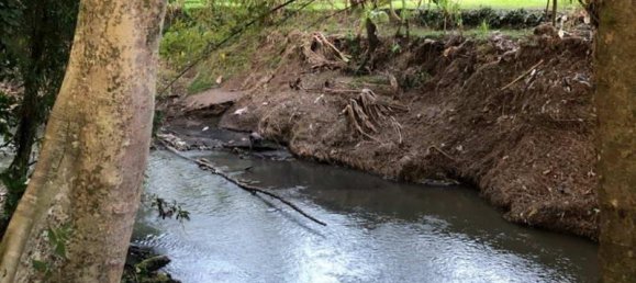 Terrain à Tabanan, Indonesia 1750m² No. 3981 4