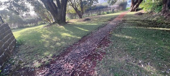 6 bedrooms Villa in Machico, Portugal No. 96803 25