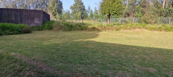 6 bedrooms Villa in Machico, Portugal No. 96803 8