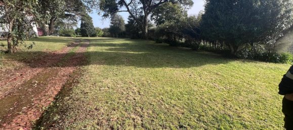 6 bedrooms Villa in Machico, Portugal No. 96803 21